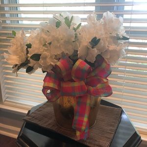 Meet your Posher, Dottie lou